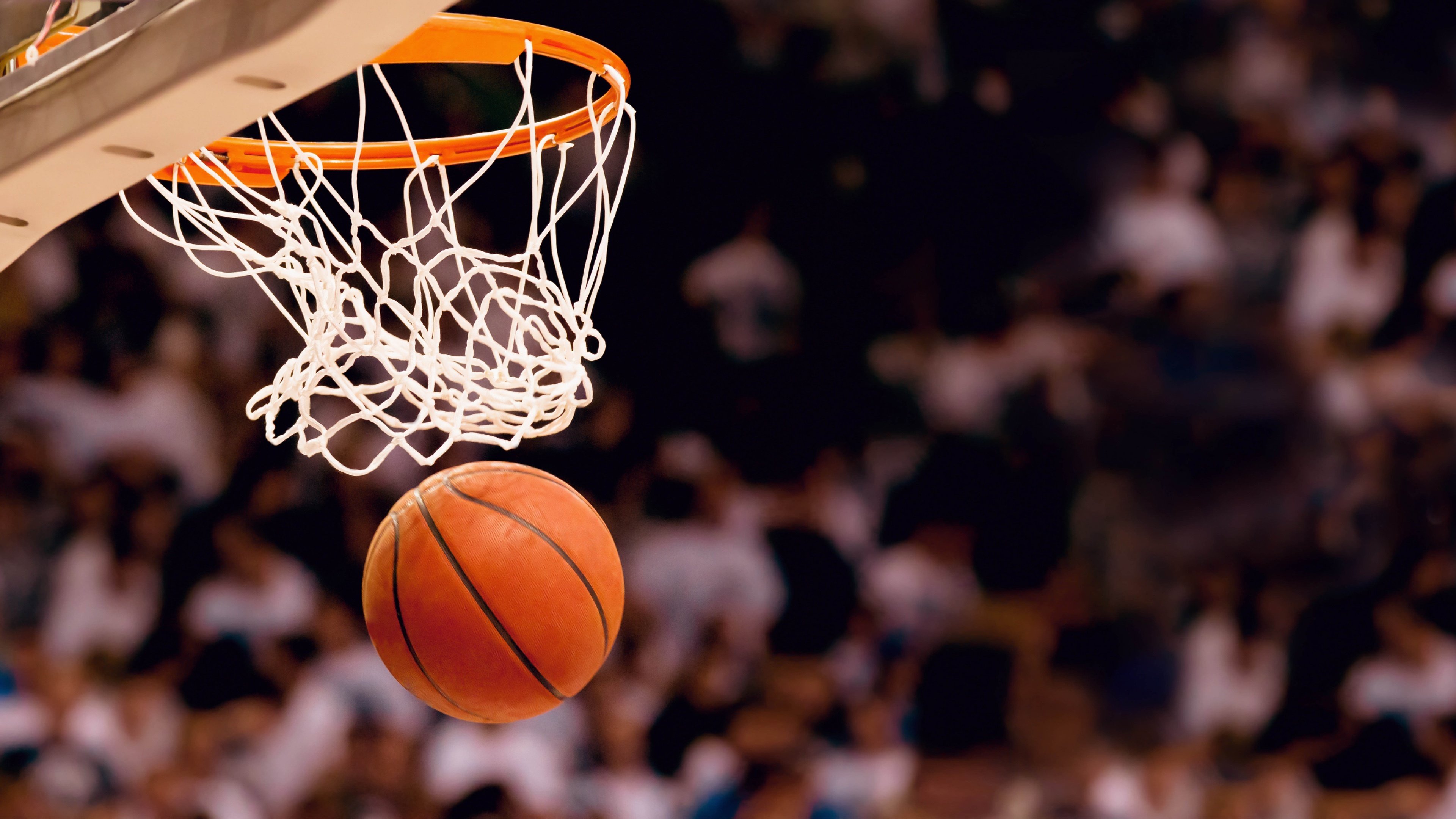 字母哥创纪录亏损，雄鹿巨星跨界投资惨败揭秘|pg电子在线